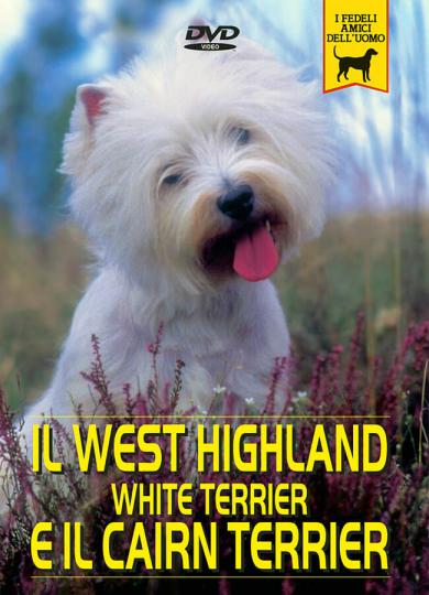 west-highland-white-terrier-cairn-terrier