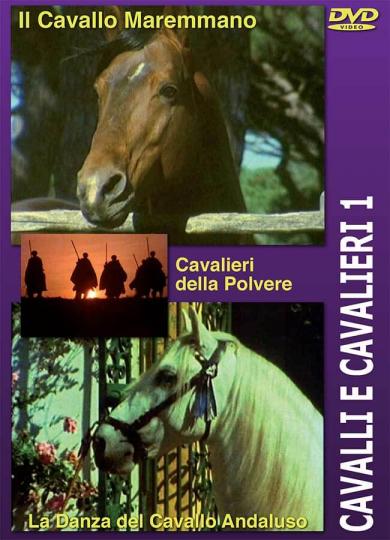 cavalli_e_cavalieri_1