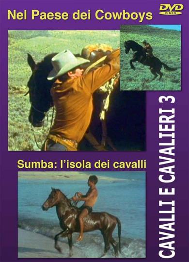 cavalli_e_cavalieri_3