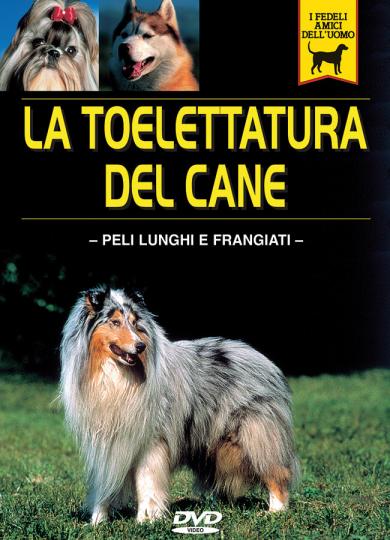 toelettatura-del-cane-peli-lunghi-e-frangiati