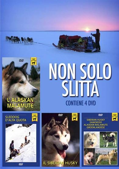 promozione-non-solo-slitta