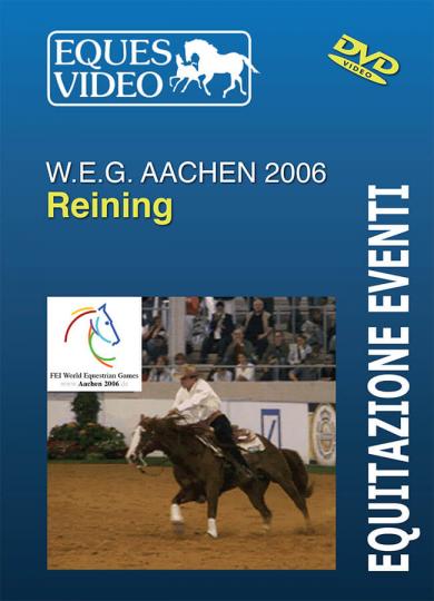 weg_aachen_2006_raining