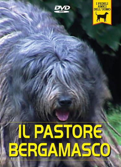 pastore-bergamasco